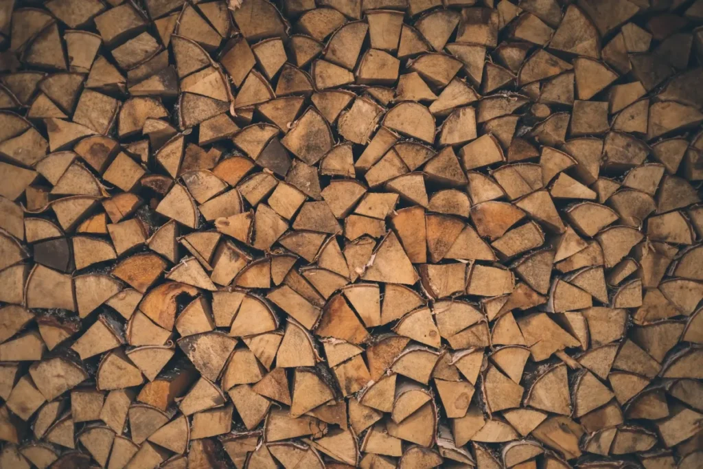 arranged trees