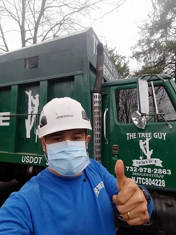 A man wearing a white Jorestech hard hat, a blue long-sleeved shirt, and a light blue disposable surgical mask is taking a selfie in front of a large green tree service truck. He is giving a thumbs-up to the camera. The side of the truck displays the company logo for "The Tree Guy Service" along with a phone number (732-978-2863), the location (Bridgewater, NJ), and a USDOT number. The background shows bare trees, suggesting a winter or early spring setting.